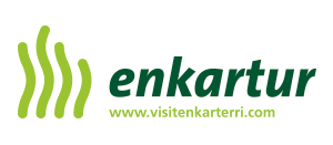 Enkartur