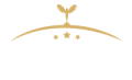 Salón High Motors